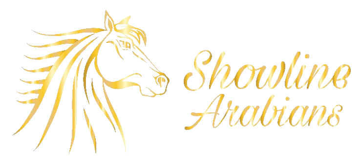 Showline Arabians logo